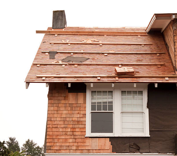 Storm Damage Siding Repair in Unicoi, TN